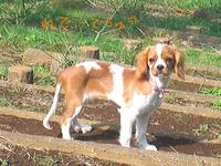 CIMG1596 - Rs[.JPG
