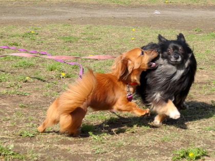 DSC03010.JPG