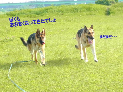 RIMG0299.JPG
