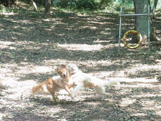 RIMG0400.JPG
